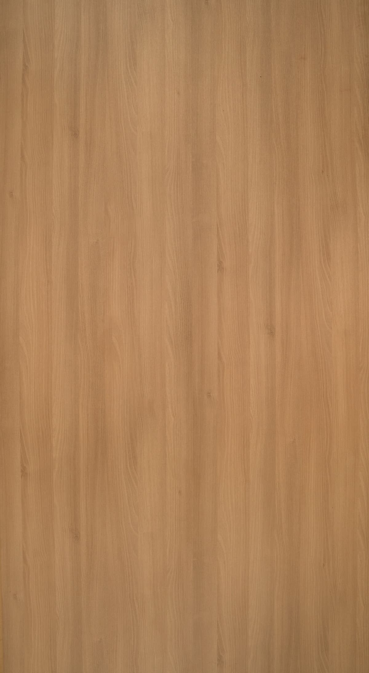 Woly Oak