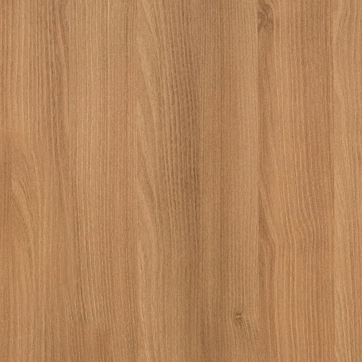 Woly Oak