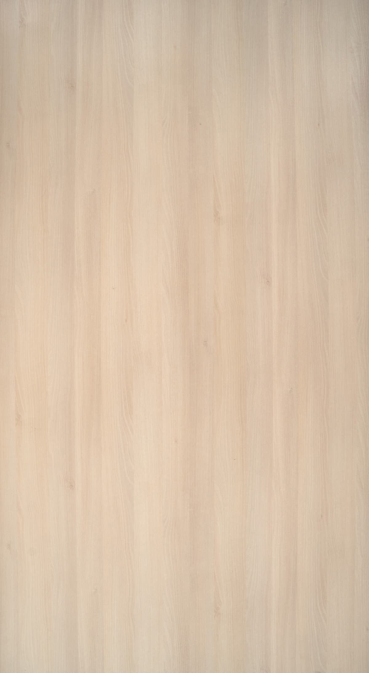 Woly Oak