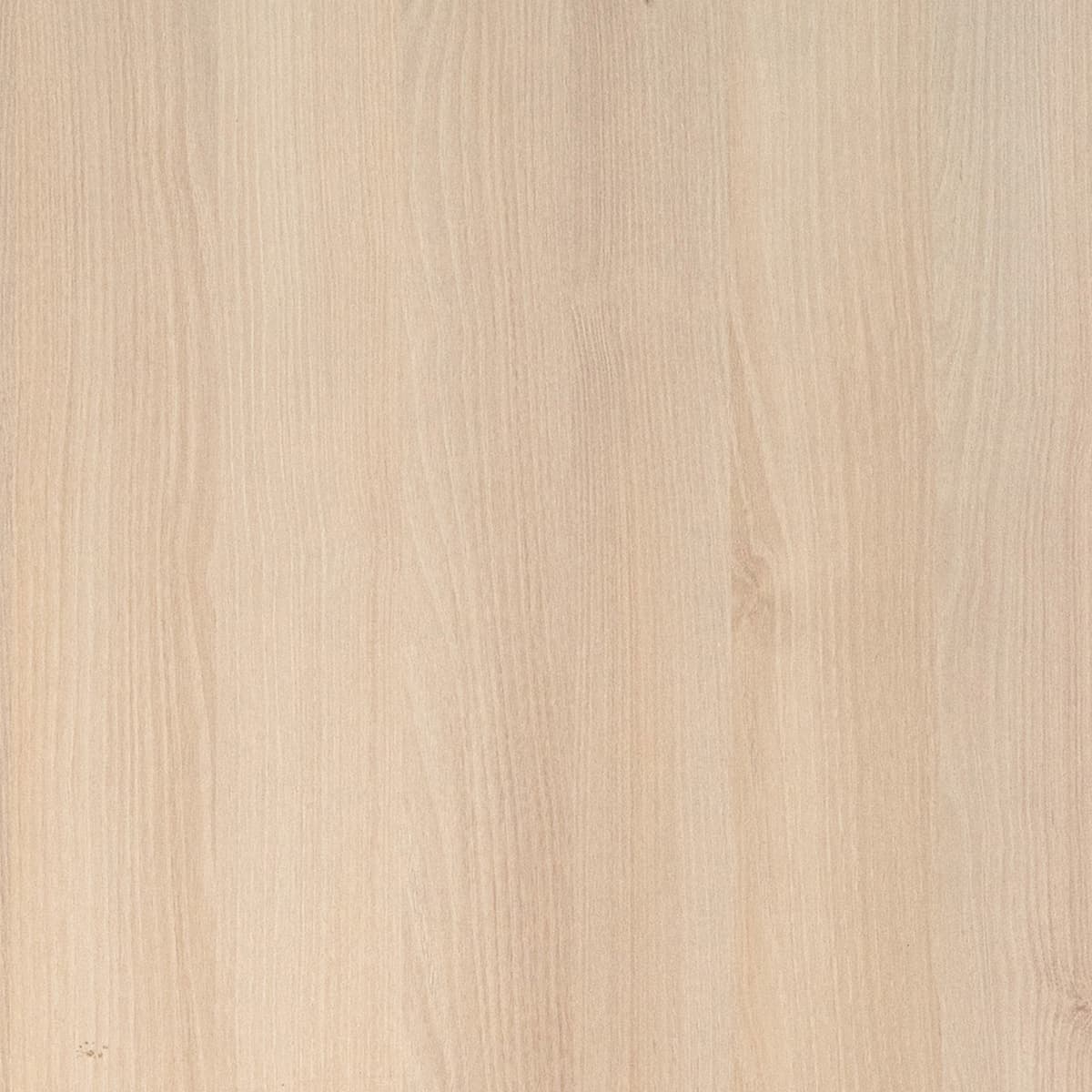 Woly Oak